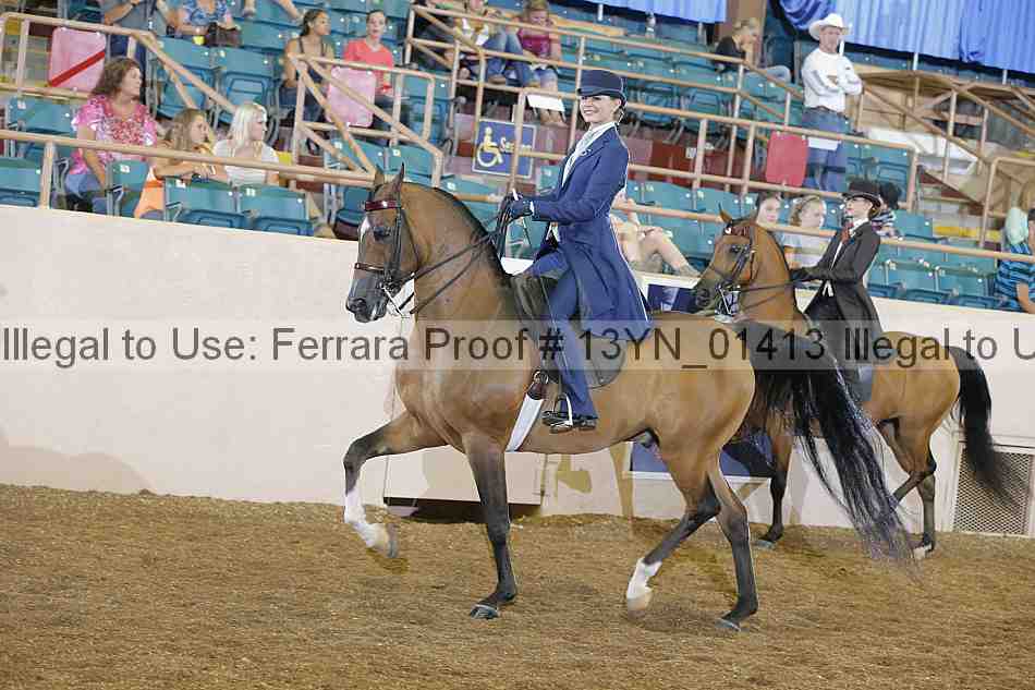 Proof 13yn_01413