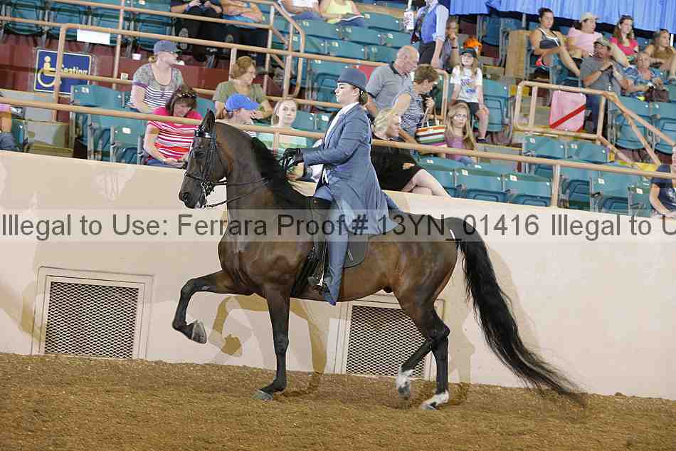 Proof 13yn_01416