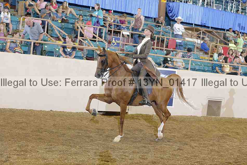 Proof 13yn_01417