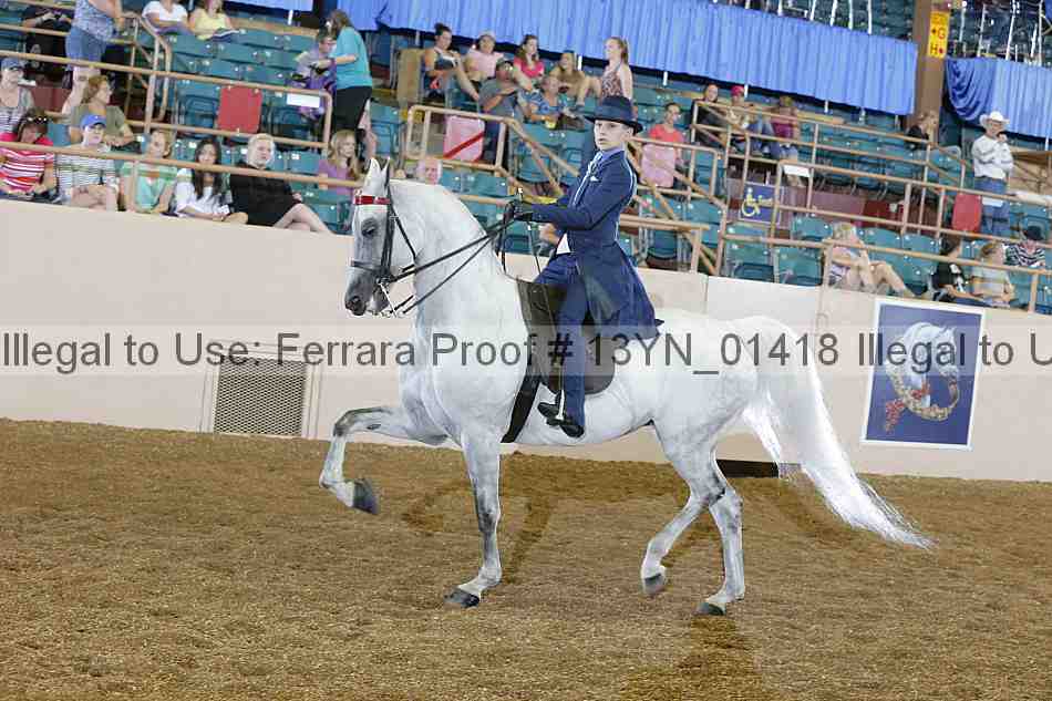 Proof 13yn_01418