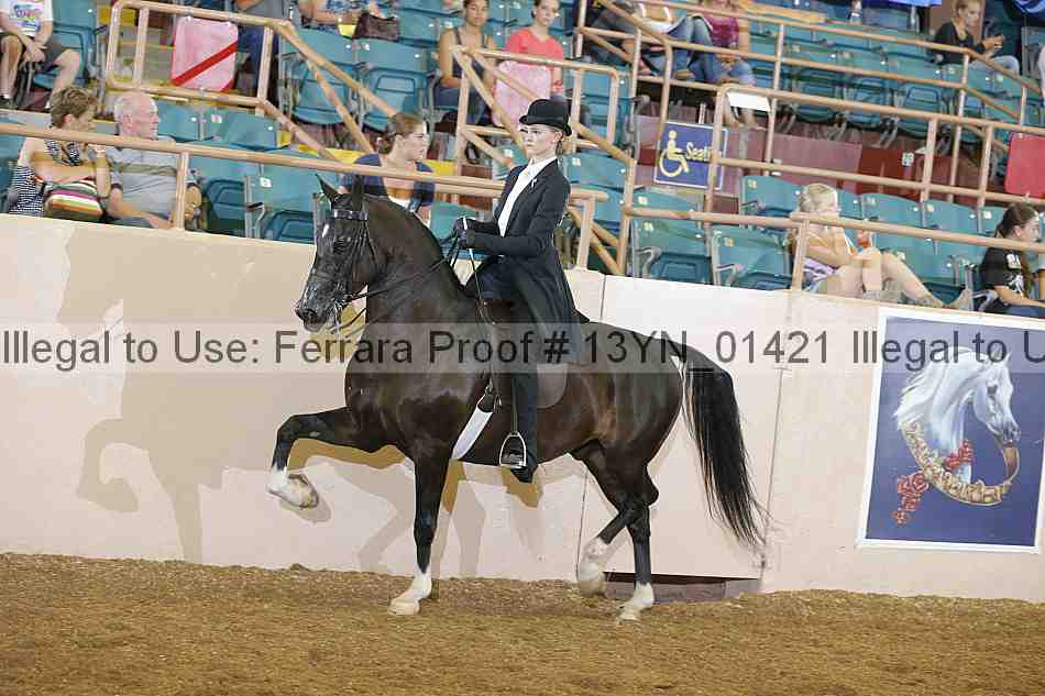 Proof 13yn_01421