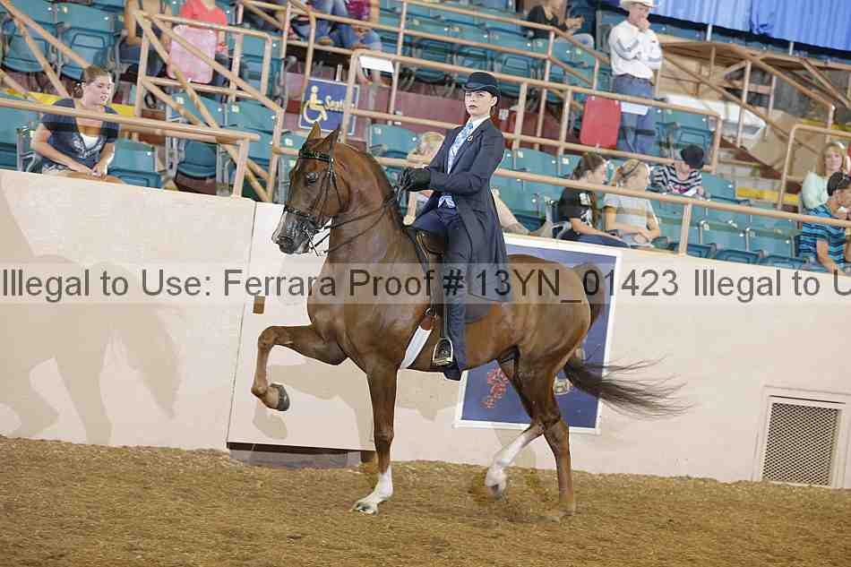 Proof 13yn_01423
