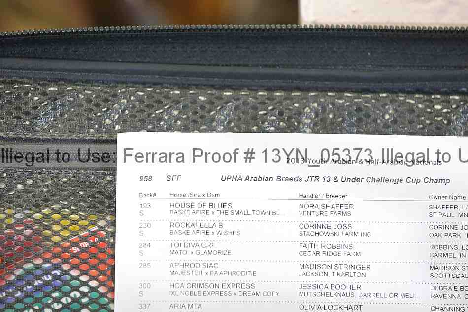 Proof 13yn_05373