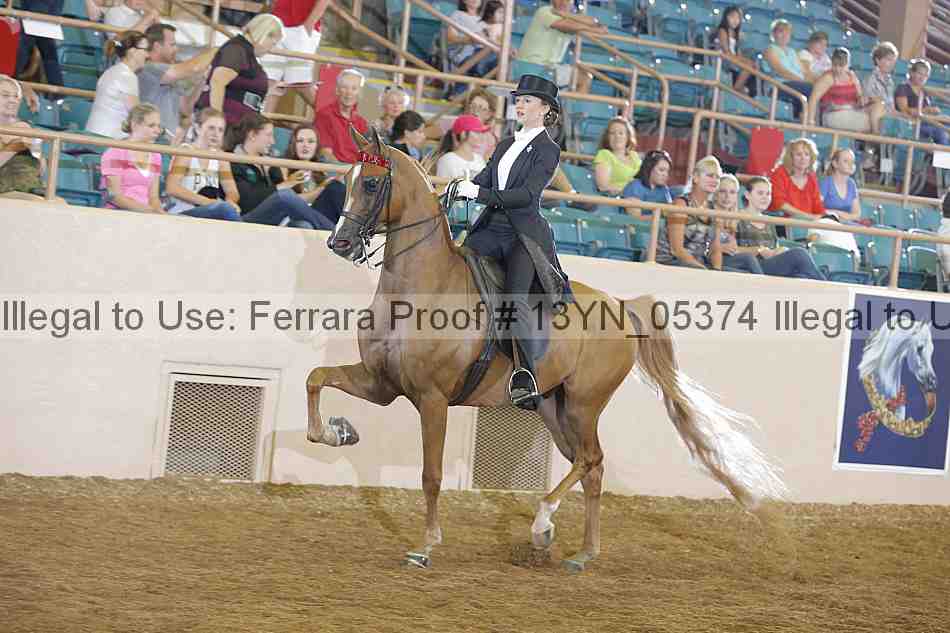 Proof 13yn_05374