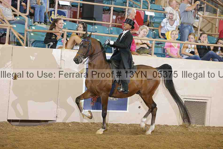 Proof 13yn_05375