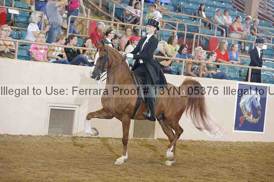 Proof 13yn_05376