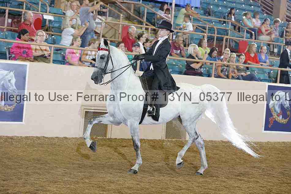 Proof 13yn_05377