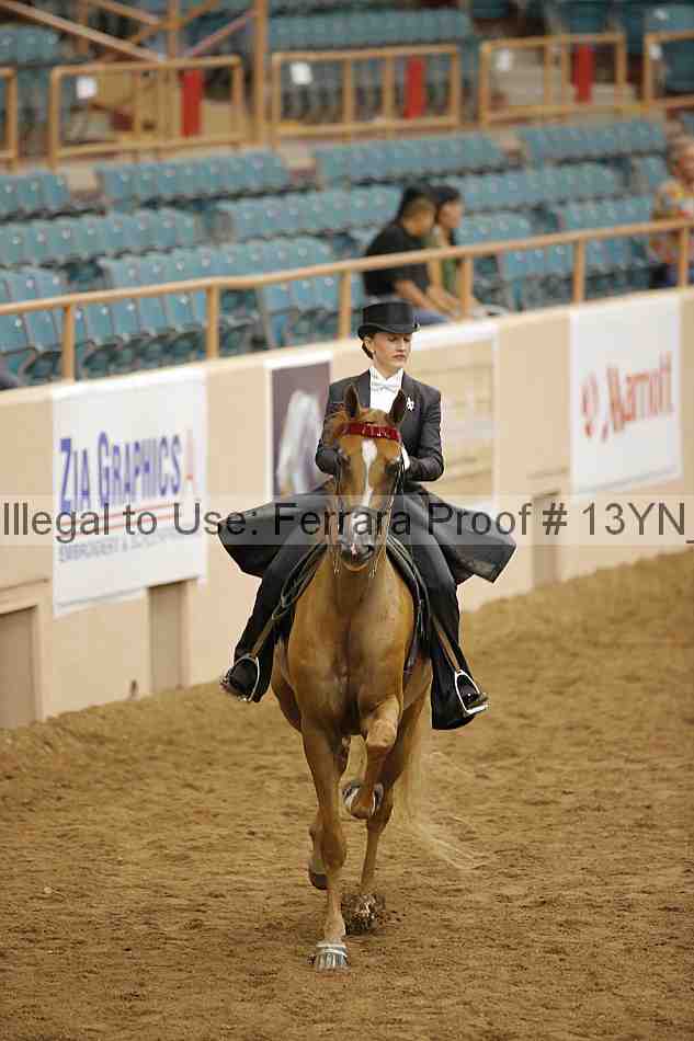 Proof 13yn_05378