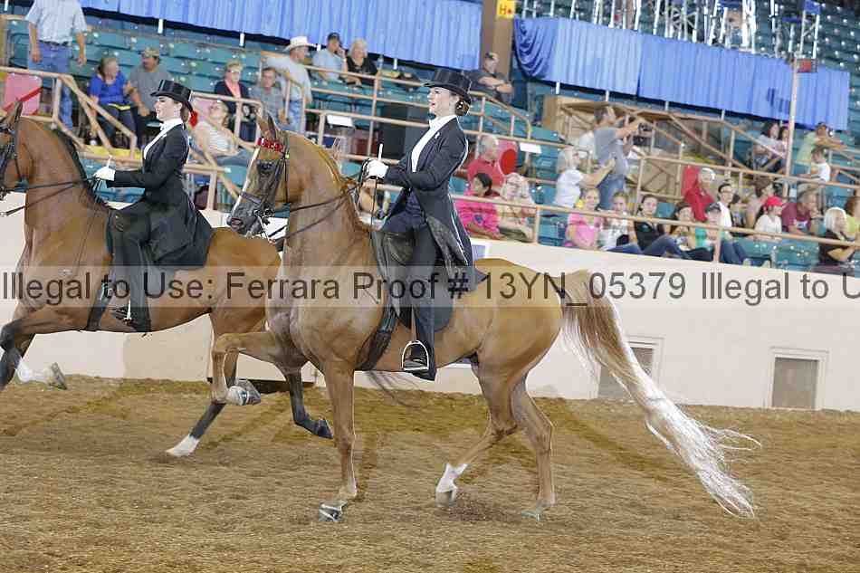 Proof 13yn_05379