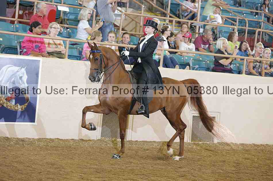 Proof 13yn_05380