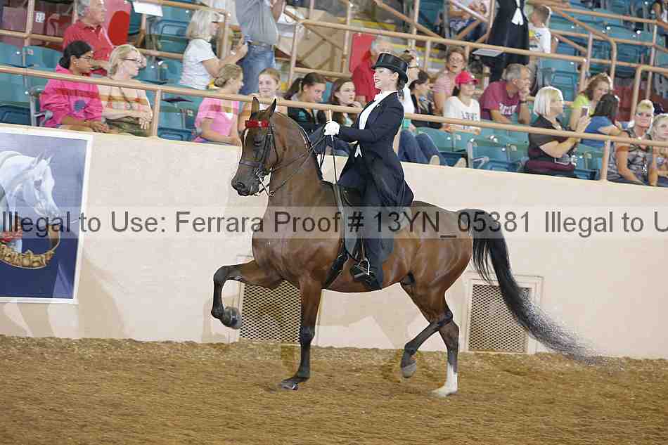 Proof 13yn_05381