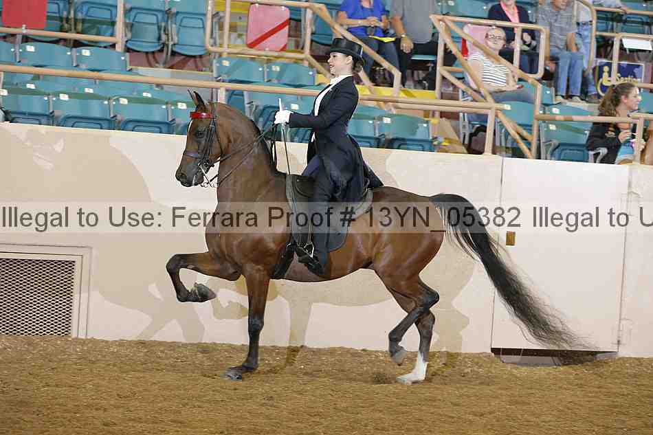 Proof 13yn_05382