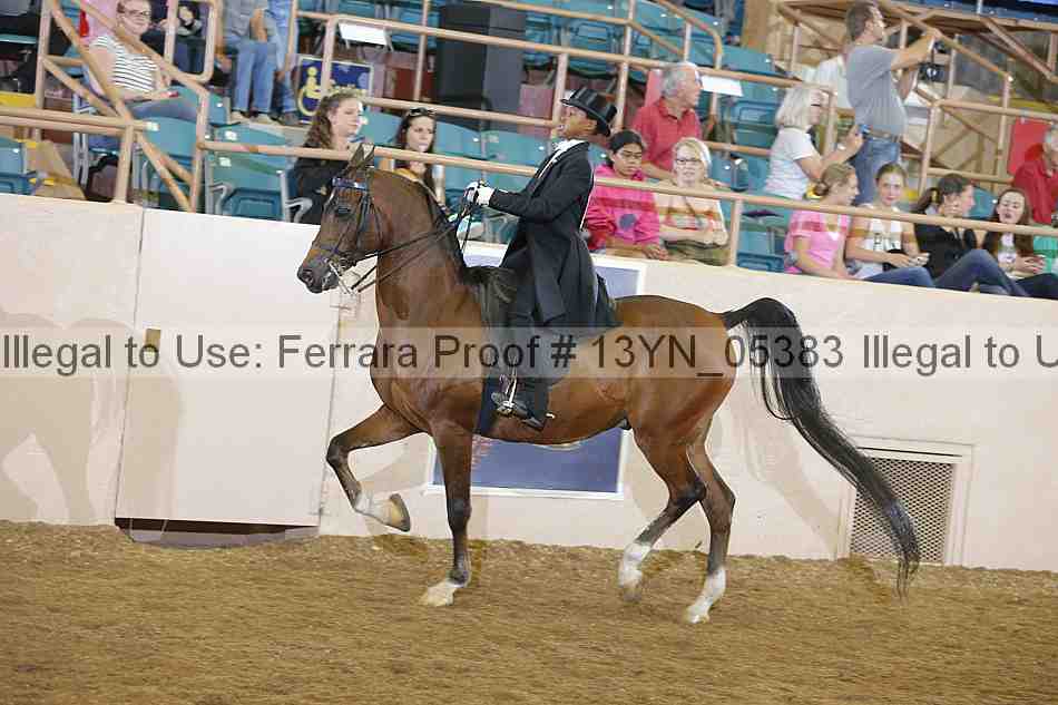Proof 13yn_05383