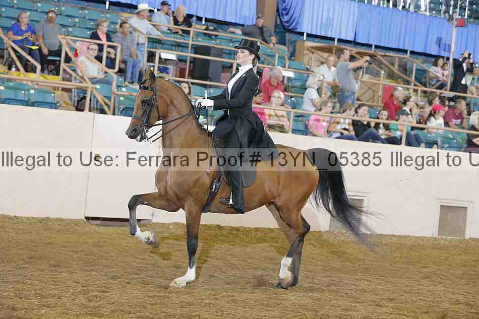 Proof 13yn_05385