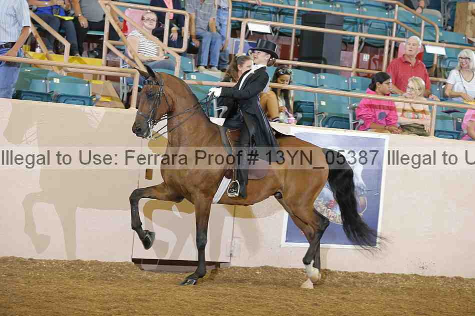 Proof 13yn_05387