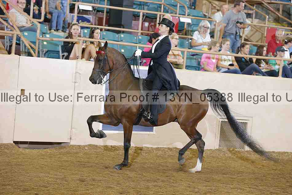Proof 13yn_05388