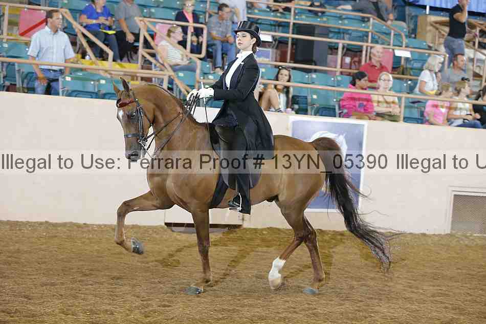 Proof 13yn_05390
