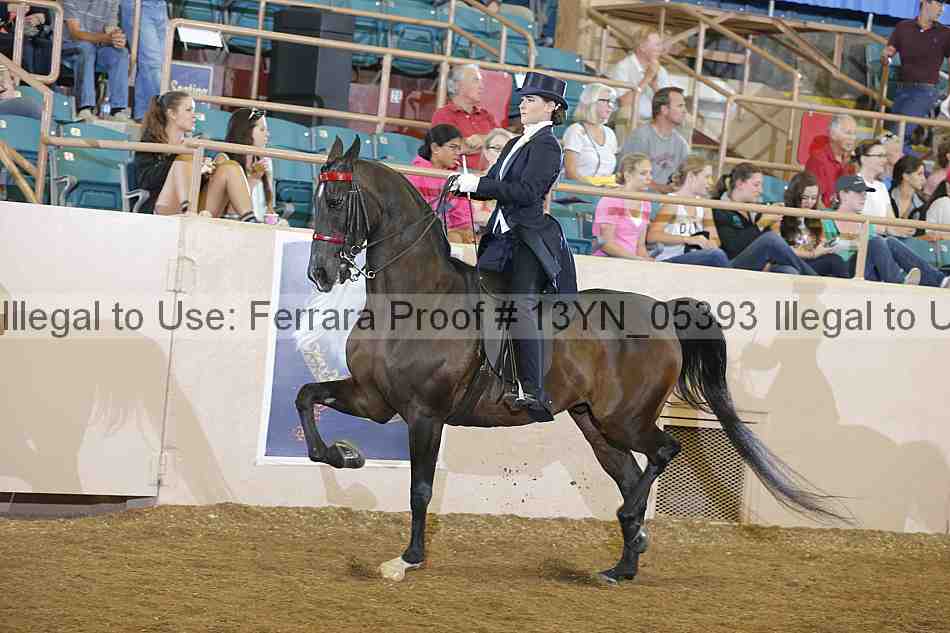 Proof 13yn_05393