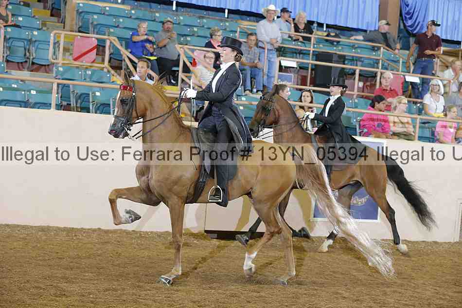 Proof 13yn_05394