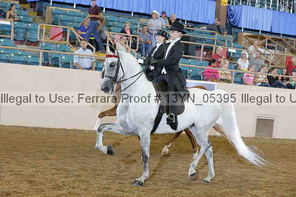 Proof 13yn_05395