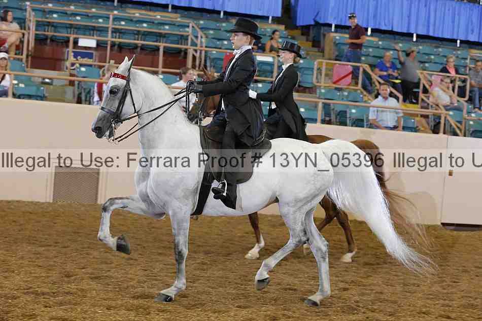 Proof 13yn_05396