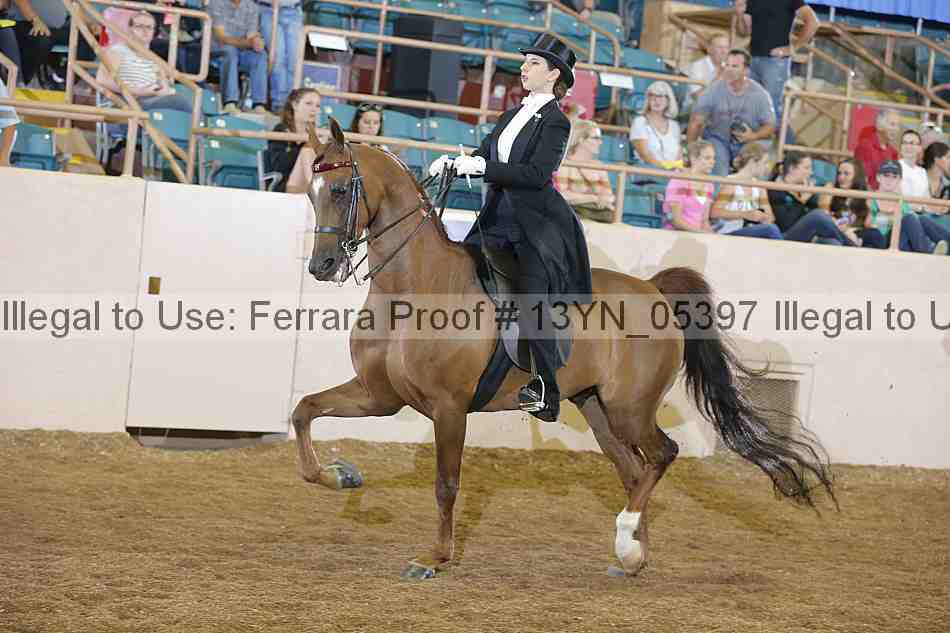 Proof 13yn_05397