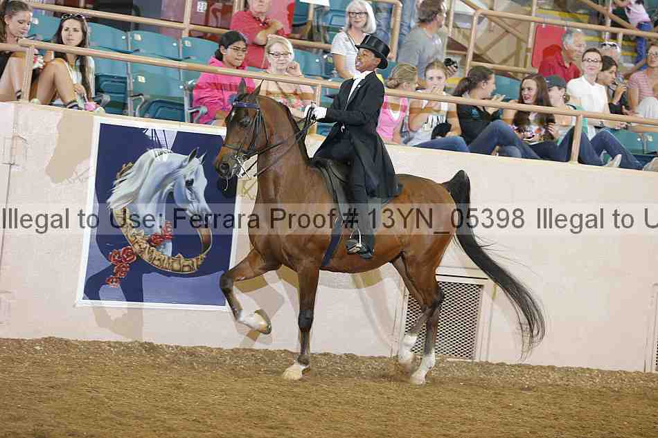 Proof 13yn_05398