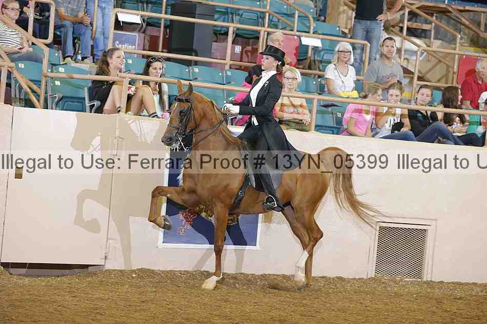 Proof 13yn_05399
