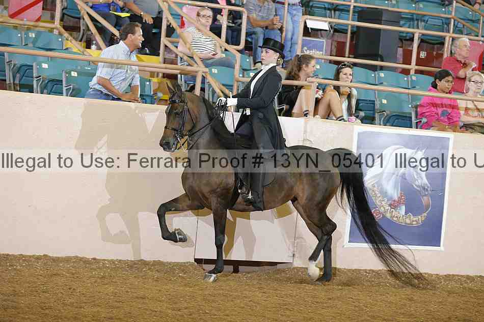 Proof 13yn_05401