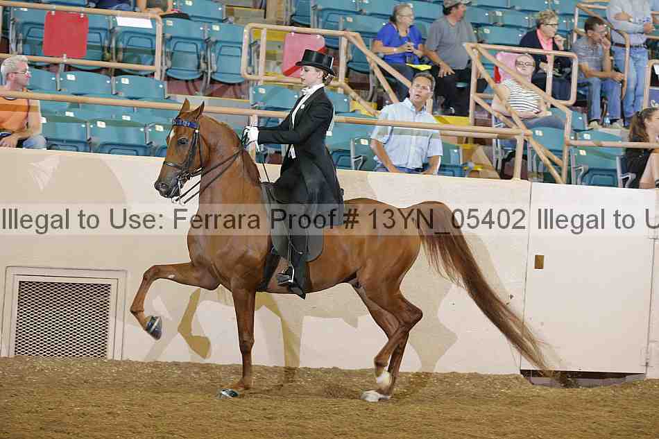 Proof 13yn_05402