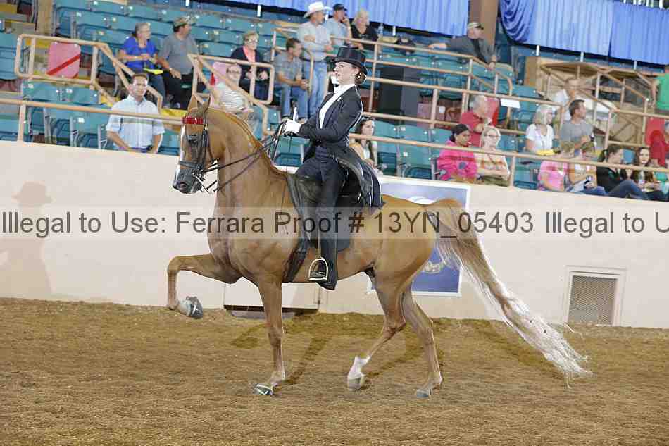 Proof 13yn_05403