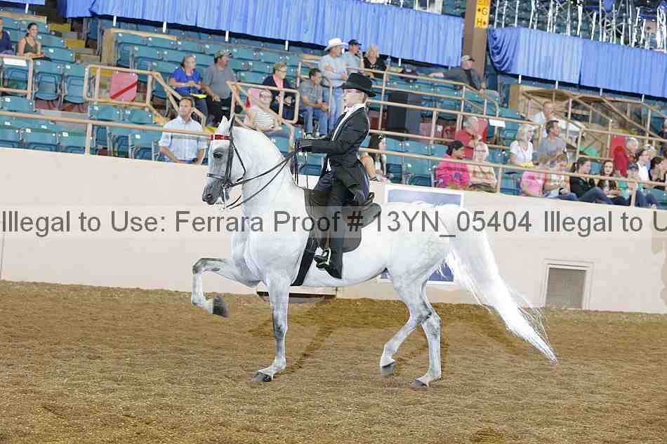 Proof 13yn_05404