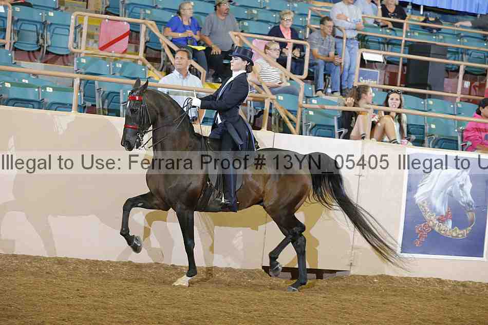 Proof 13yn_05405