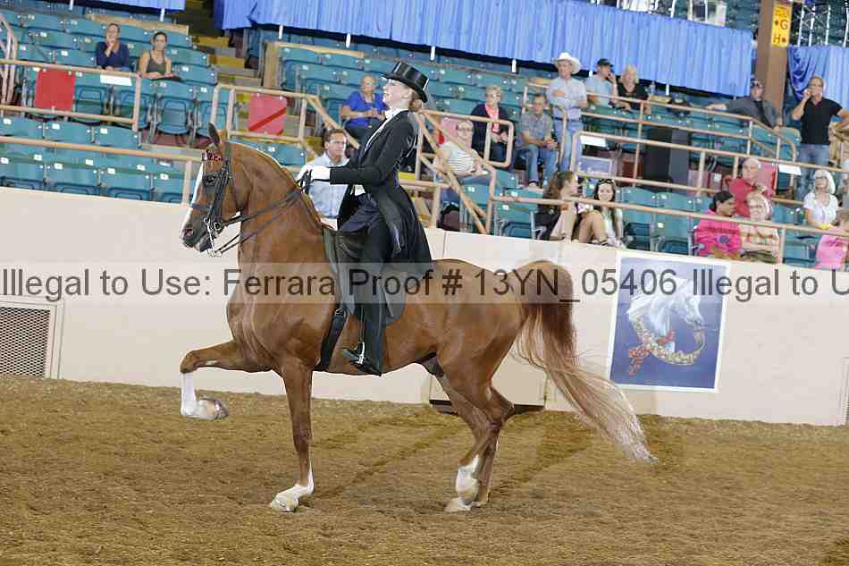Proof 13yn_05406