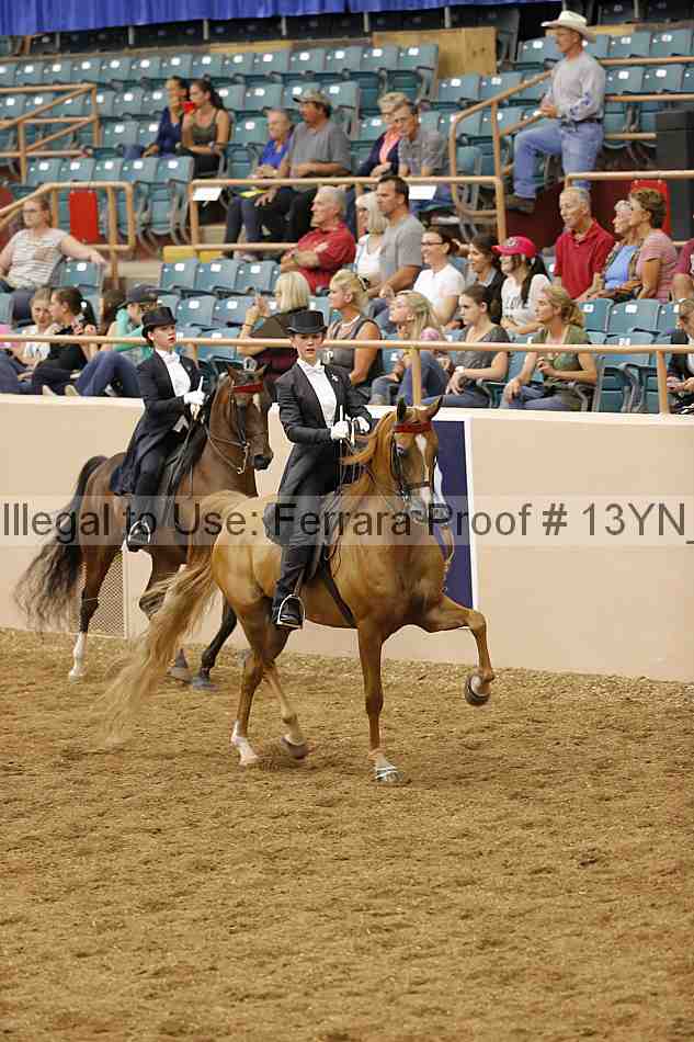 Proof 13yn_05407