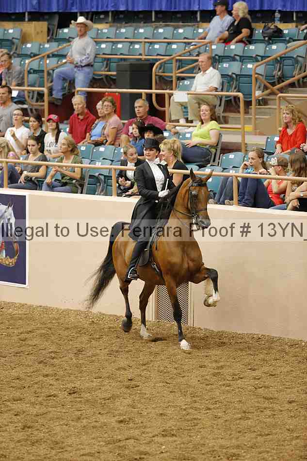 Proof 13yn_05408