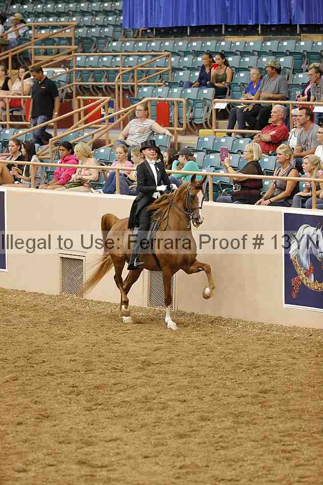 Proof 13yn_05409