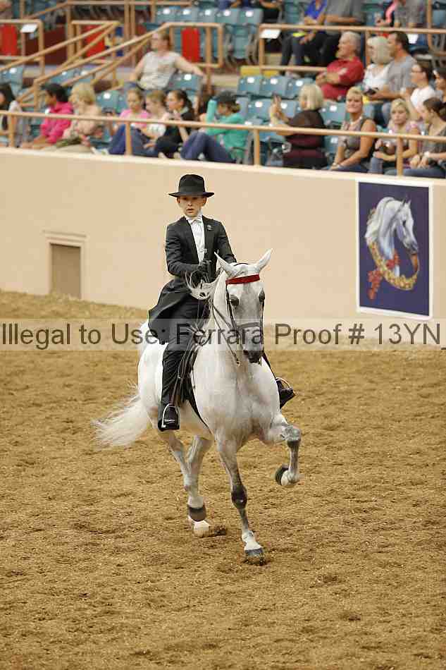 Proof 13yn_05410