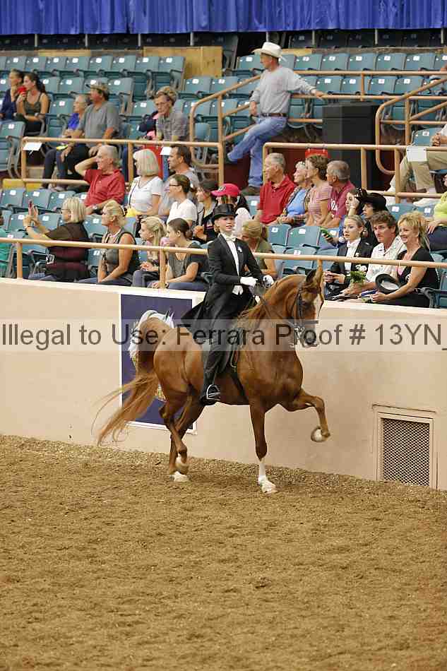 Proof 13yn_05415