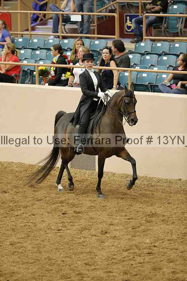 Proof 13yn_05416