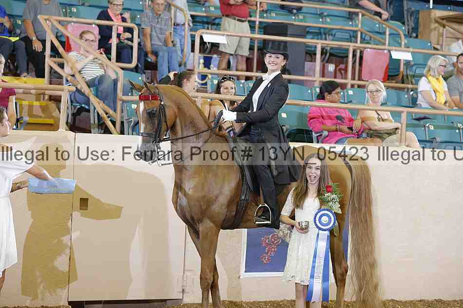 Proof 13yn_05423