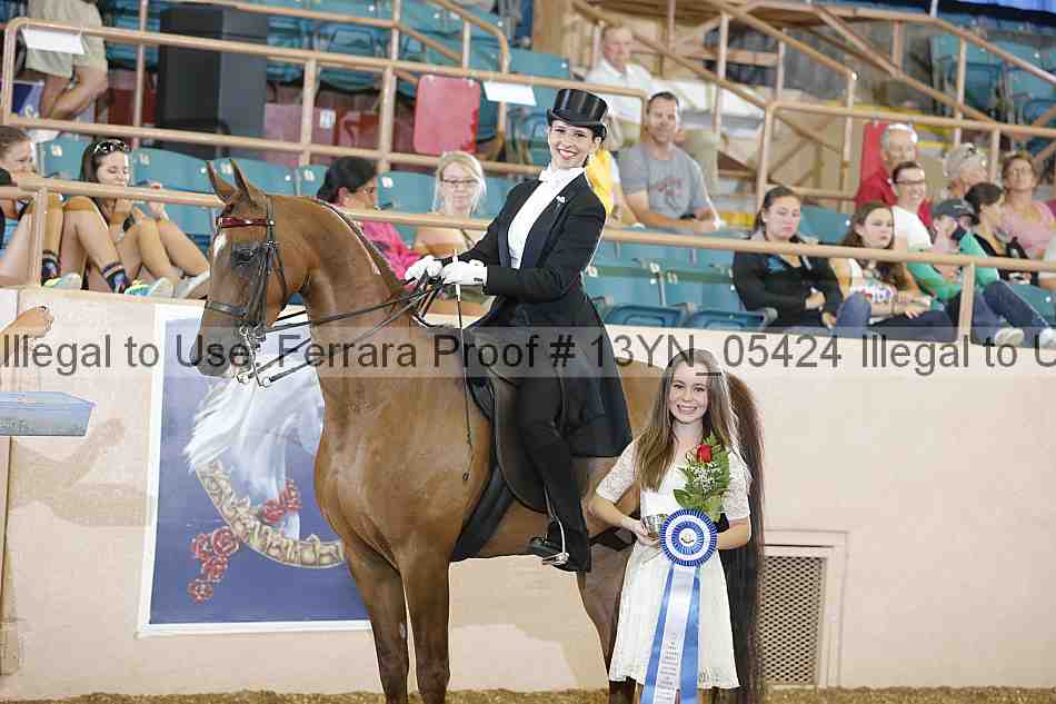 Proof 13yn_05424
