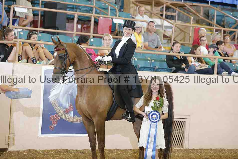 Proof 13yn_05425