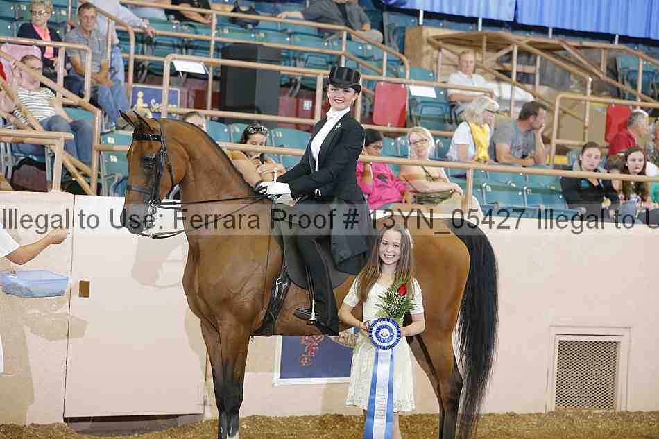 Proof 13yn_05427