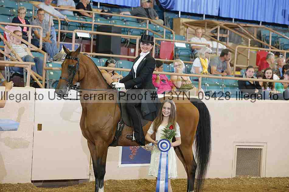 Proof 13yn_05428