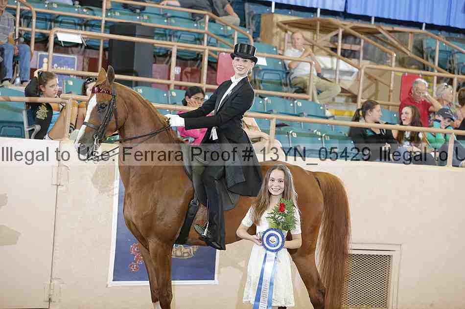 Proof 13yn_05429