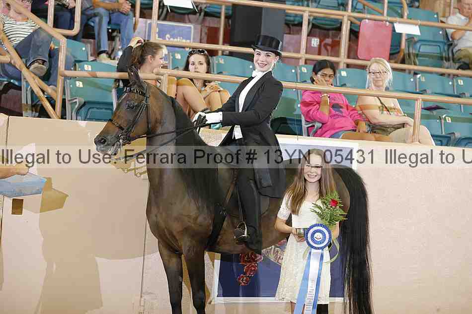 Proof 13yn_05431