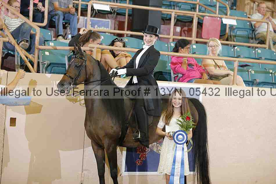Proof 13yn_05432