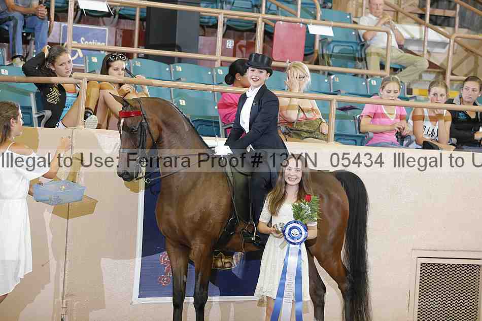 Proof 13yn_05434