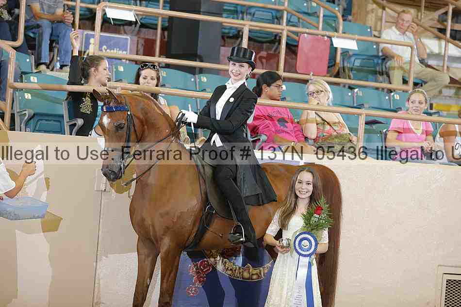 Proof 13yn_05436